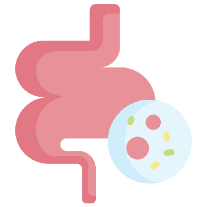 gut